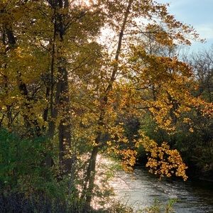 Meet your Posher, Carrie